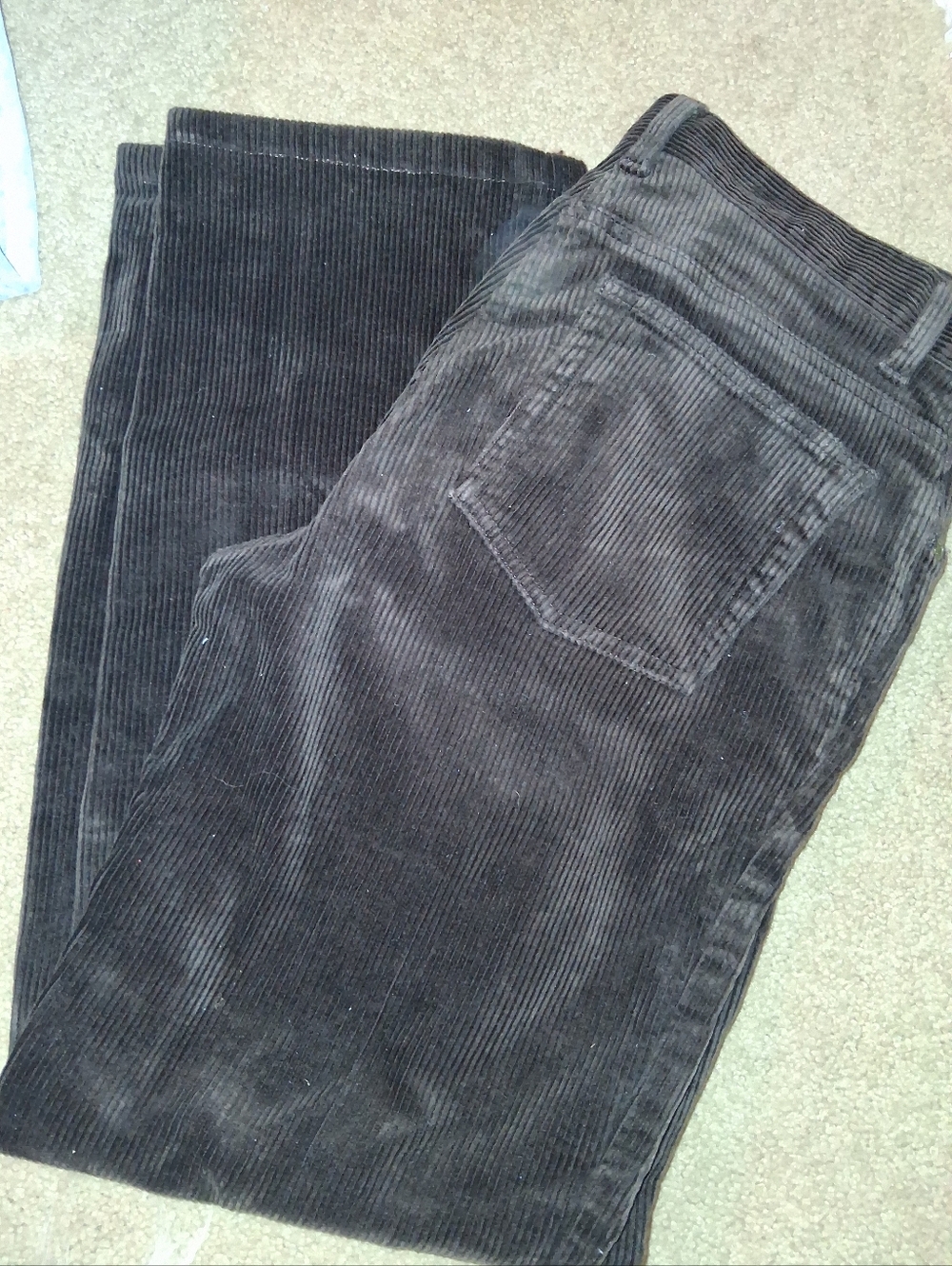 Jones New York Sport Stretch Corduroy Pants in Dark Brown